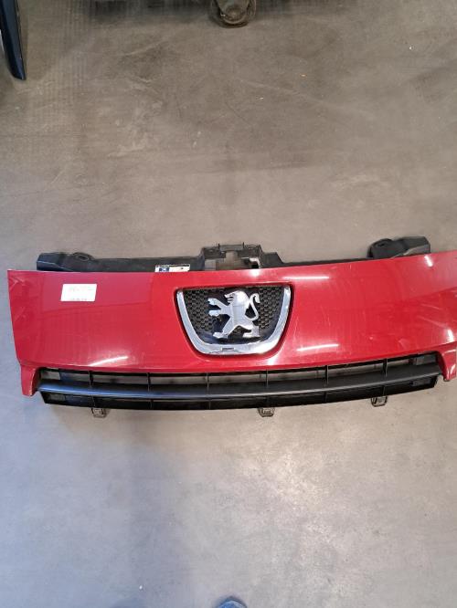 Image Calandre - PEUGEOT EXPERT 2