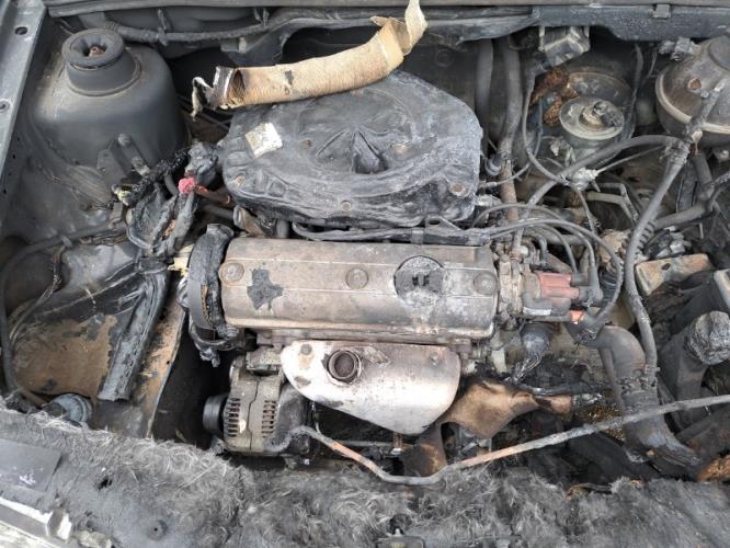 Image Retroviseur droit - VOLKSWAGEN GOLF 3