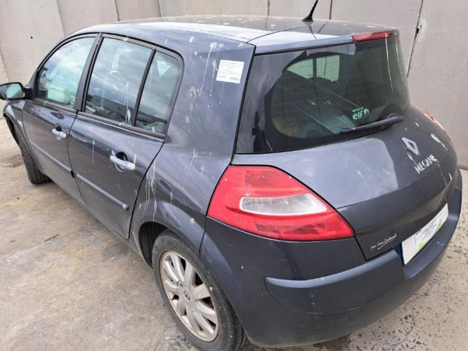 Image Porte arriere gauche - RENAULT MEGANE 2