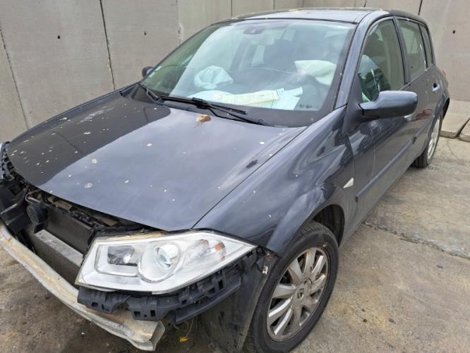 Image Porte arriere gauche - RENAULT MEGANE 2