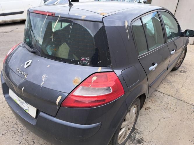 Image Porte arriere gauche - RENAULT MEGANE 2