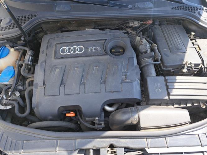 Image Plage arriere - AUDI A3 2