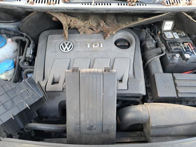 Image Porte arriere droit - VOLKSWAGEN TOURAN 2
