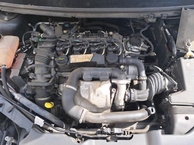 Image Retroviseur droit - FORD FOCUS 2