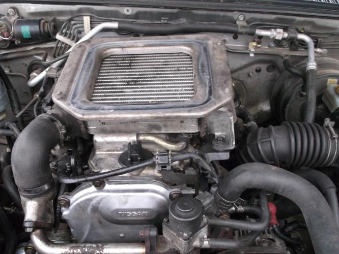 Image Feu arriere principal gauche (feux) - NISSAN KING-CAB
