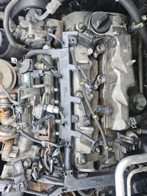 Image Plage arriere - HONDA FR-V