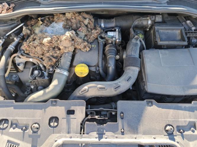 Image Feu arriere secondaire gauche (feux) - RENAULT CLIO 4
