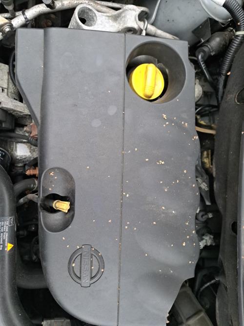 Image Retroviseur gauche - NISSAN MICRA 3