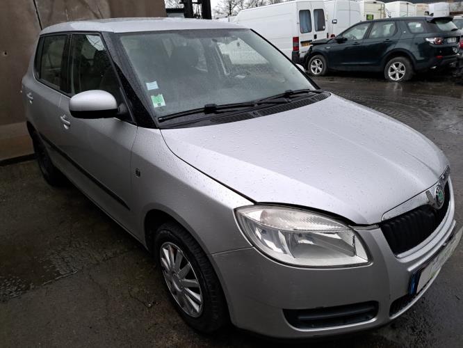 Image Porte avant gauche - SKODA FABIA 2
