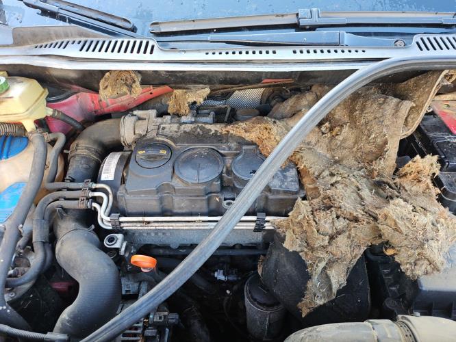 Image Capot - VOLKSWAGEN CADDY 3