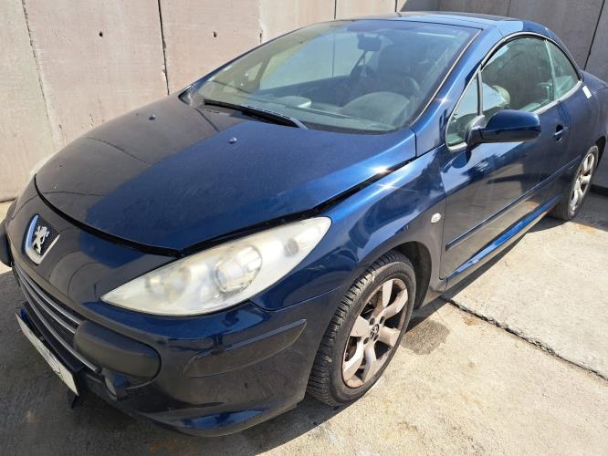 Image Malle/Hayon arriere - PEUGEOT 307