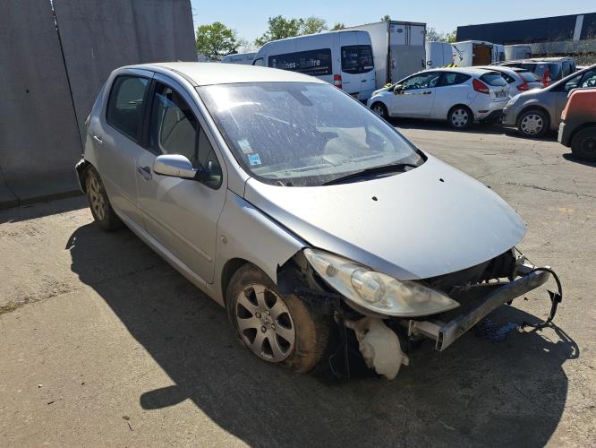 Image Porte arriere gauche - PEUGEOT 307