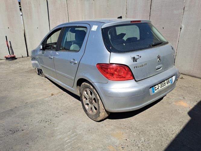 Image Porte arriere gauche - PEUGEOT 307