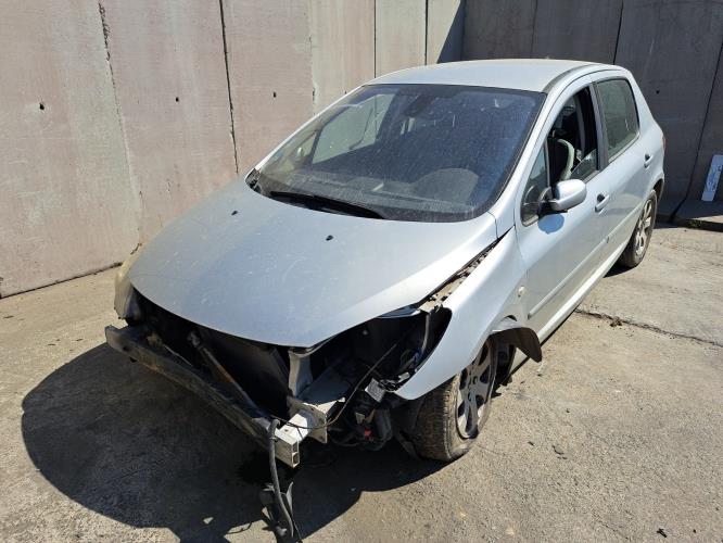 Image Porte arriere gauche - PEUGEOT 307