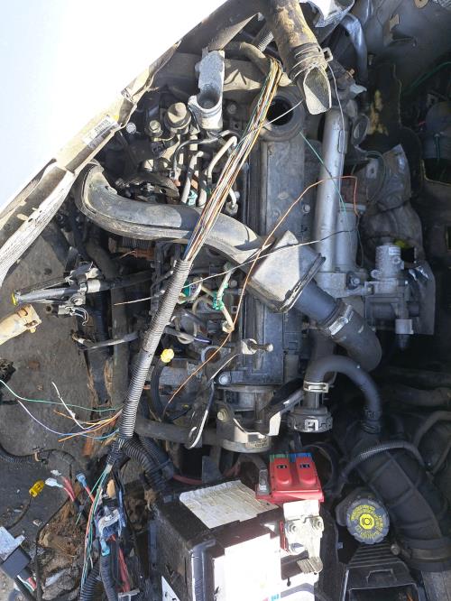 Image Retroviseur droit - RENAULT CLIO 3