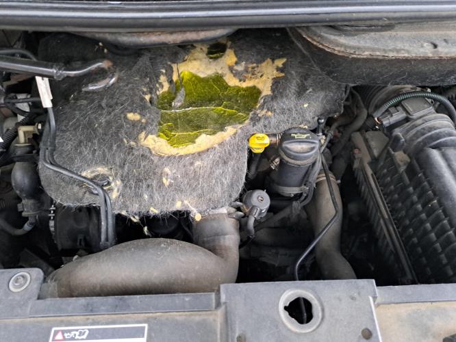 Image Retroviseur gauche - CITROEN C8