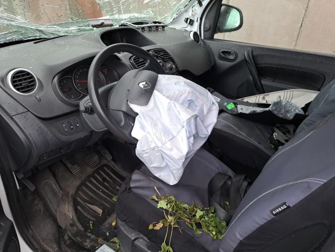 Image Moteur - RENAULT KANGOO 2