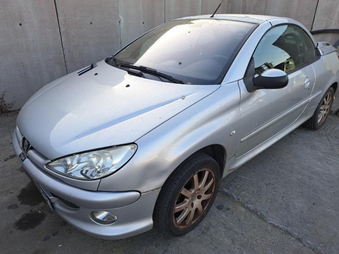 Image Malle/Hayon arriere - PEUGEOT 206
