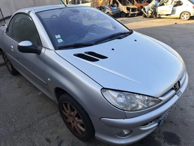 Image Malle/Hayon arriere - PEUGEOT 206