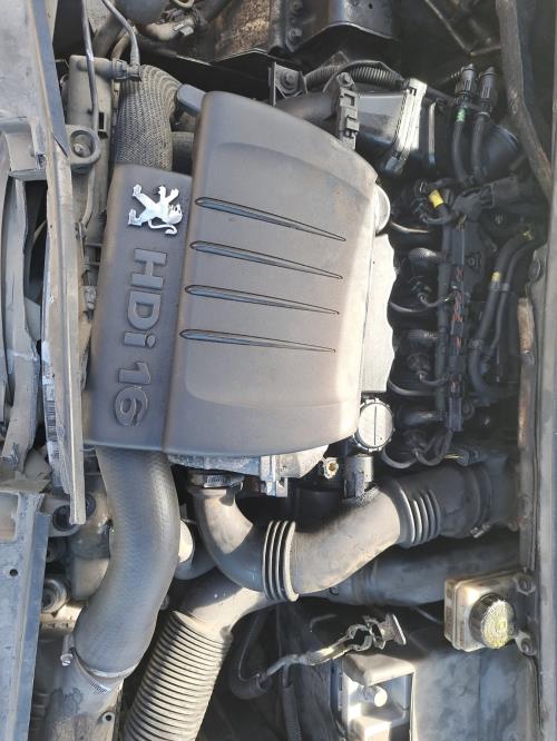 Image Porte arriere droit - PEUGEOT 307