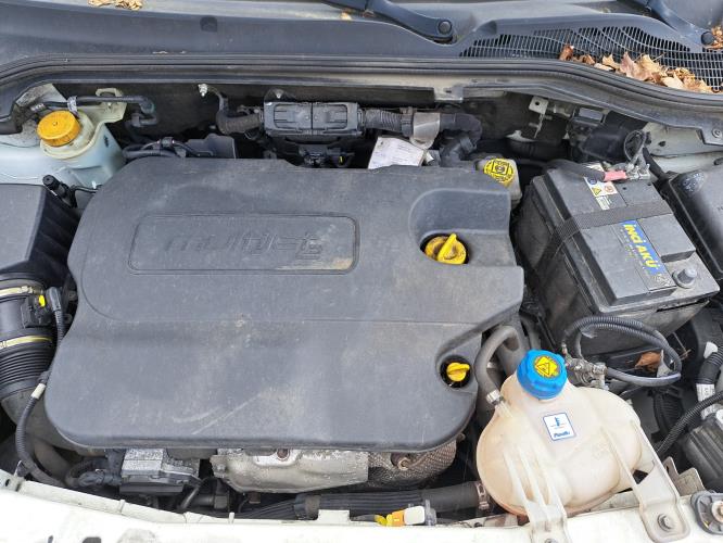 Image Porte de coffre droit - FIAT DOBLO 2