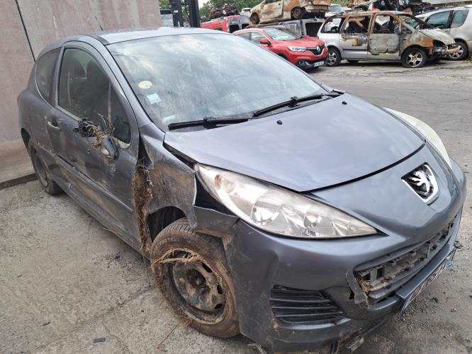 Image Porte avant gauche - PEUGEOT 207