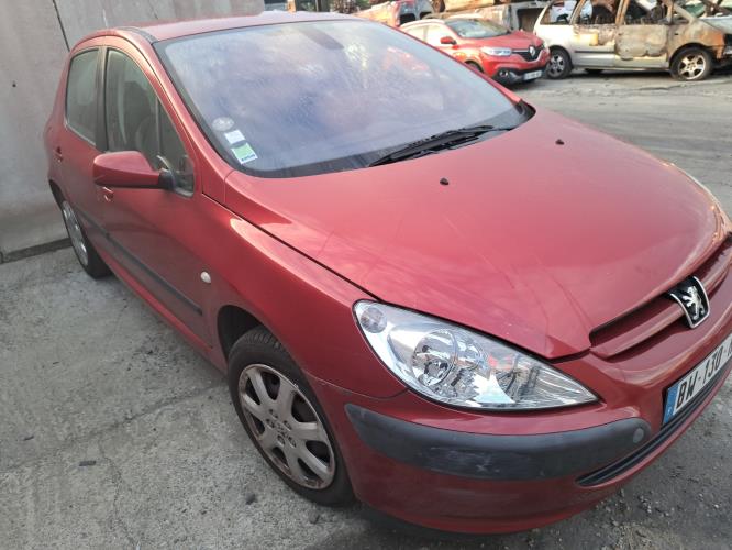 Image Plage arriere - PEUGEOT 307