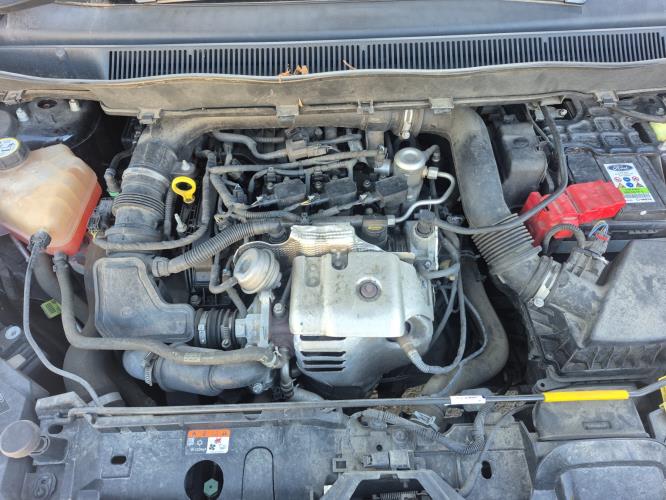Image Capot - FORD B-MAX