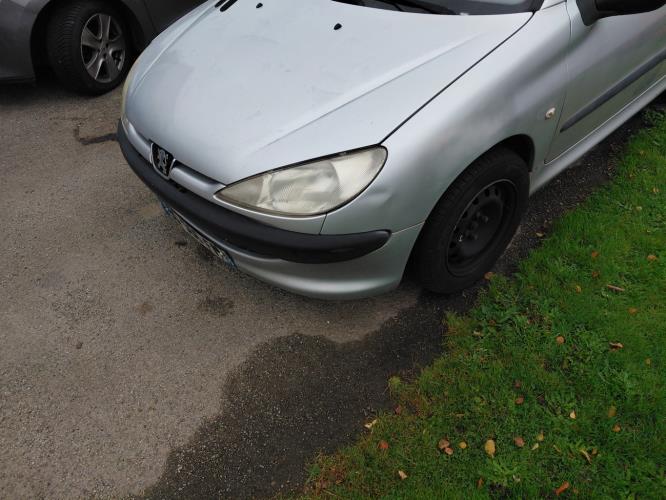 Image Retroviseur gauche - PEUGEOT 206