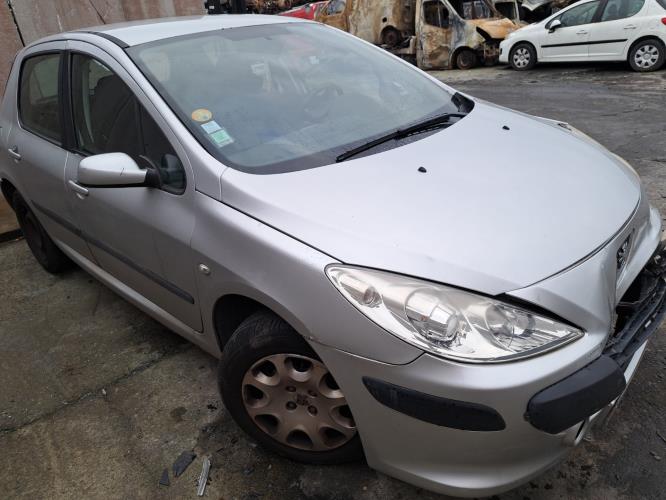 Image Plage arriere - PEUGEOT 307