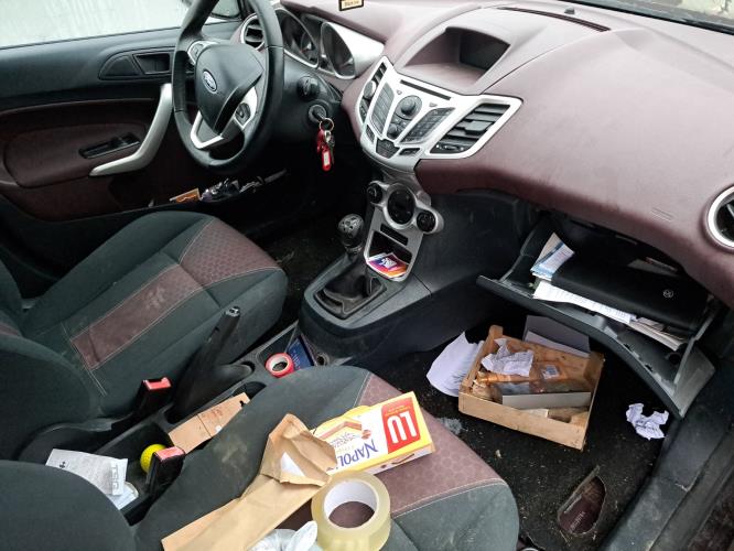 Image Porte arriere gauche - FORD FIESTA 6