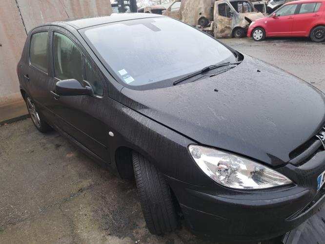 Image Jante - PEUGEOT 307