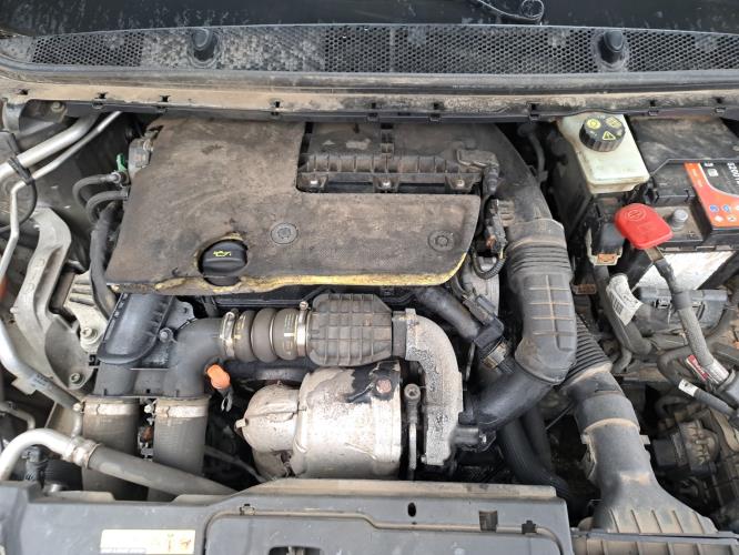 Image Malle/Hayon arriere - PEUGEOT 308 2 SW