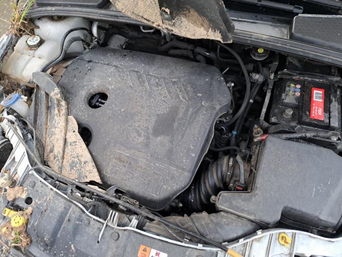 Image Porte avant gauche - FORD FOCUS 3