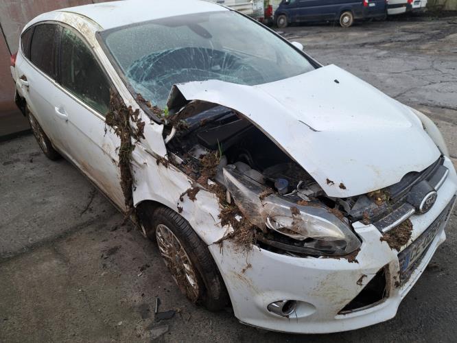 Image Porte avant gauche - FORD FOCUS 3