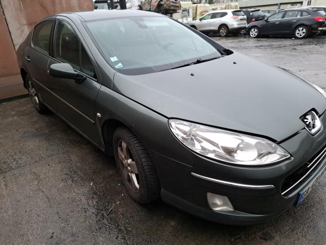 Image Ecran GPS - PEUGEOT 407