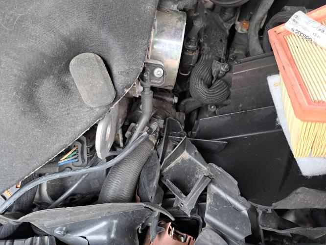 Image Capot - CITROEN JUMPY 3 M