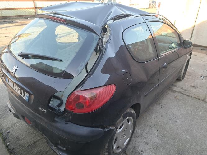 Image Optique avant principal gauche (feux)(phare) - PEUGEOT 206