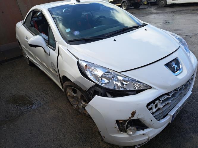 Image Porte avant gauche - PEUGEOT 207