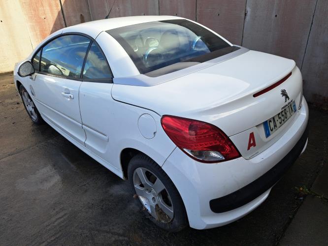 Image Porte avant gauche - PEUGEOT 207