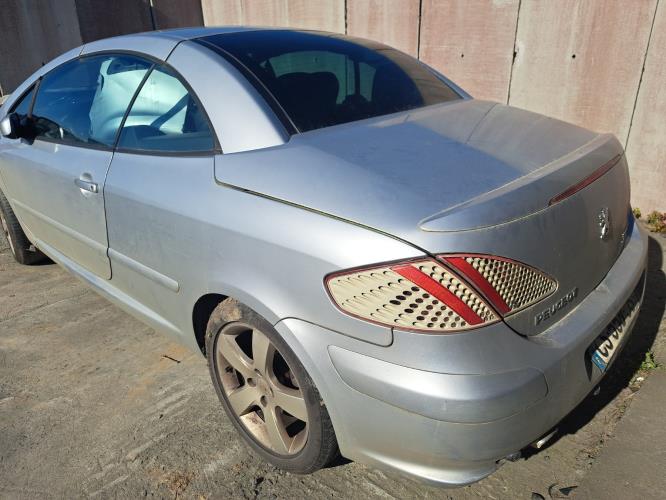 Image Porte avant gauche - PEUGEOT 307