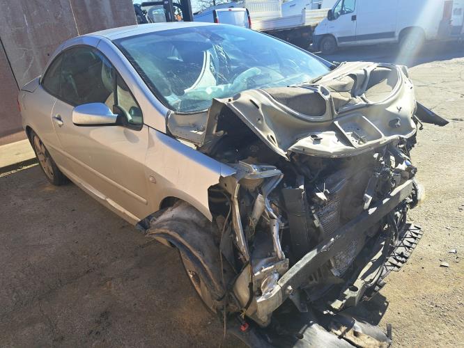 Image Porte avant gauche - PEUGEOT 307