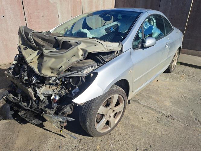 Image Porte avant gauche - PEUGEOT 307