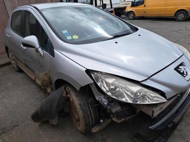 Image Porte arriere gauche - PEUGEOT 308 1