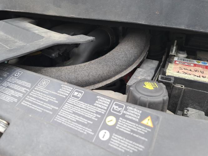Image Porte avant droit - RENAULT MODUS