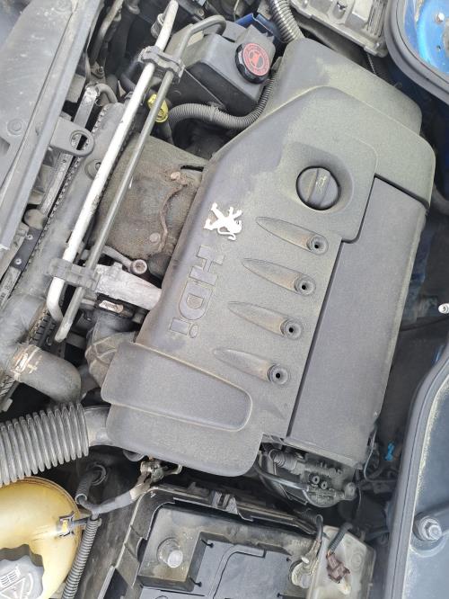 Image Malle/Hayon arriere - PEUGEOT 206
