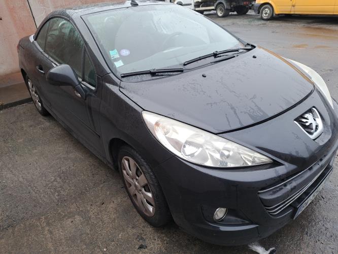 Image Malle/Hayon arriere - PEUGEOT 207
