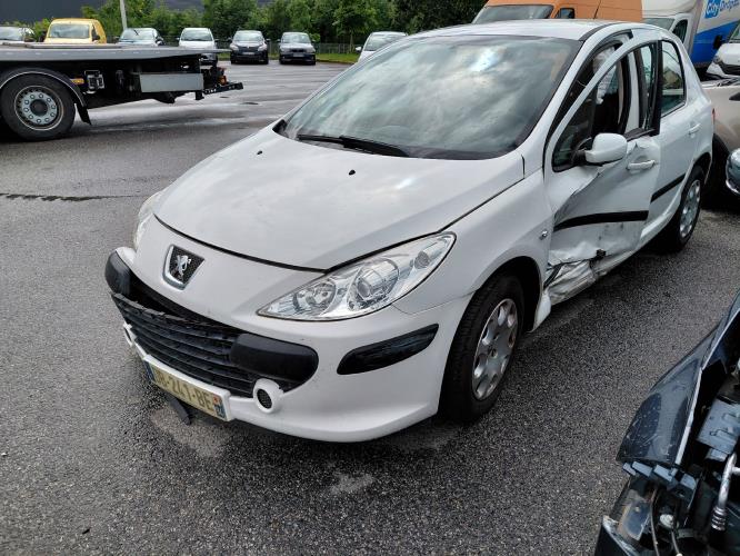 Image Feu arriere principal gauche (feux) - PEUGEOT 307