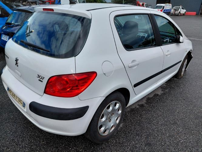 Image Feu arriere principal gauche (feux) - PEUGEOT 307
