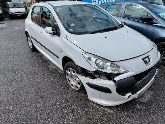 Image Feu arriere principal gauche (feux) - PEUGEOT 307